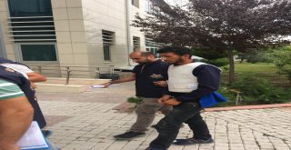 Ypgli Terörist Kardeşler Tarlada Çalışırken Yakalandı