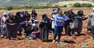 Ailesini Katleden Katil Olay Yerinden Kaçmış