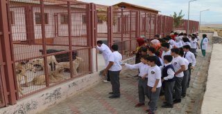 Elazığdaki Türkiyenin En Modern Hayvan Hastanesine Ziyaretçi Akını