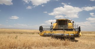 Malazgirtte Biçerdöverler Denetlendi