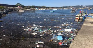 Sağanak Yağışla Gelen Çöpler Limanı Doldurdu