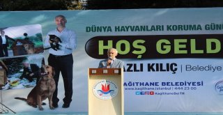 Kağıthanede Çocuklardan Hayvanlara Mektup Rekoru