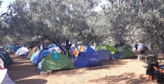 Ekofest, “Enerji” Temasıyla Kazdağında Başladı
