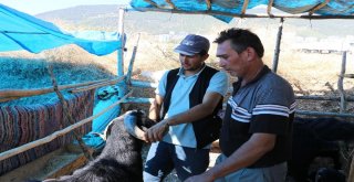 Arefe Günü Pazarlıklar Sıkılaştı