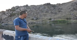 Selçuklu Dönemine Ait Çeşnigir Köprüsü Asırlardır Ayakta Duruyor