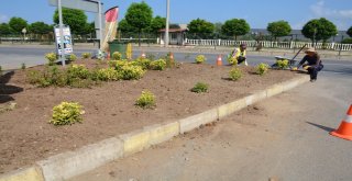 Gülüçe Bayanların Eli Değdi