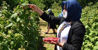 Kadınlar Büyükşehir'le daha güçlü