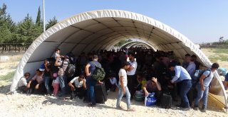 Suriyeliler Akın Akın Ülkelerine Gidiyor