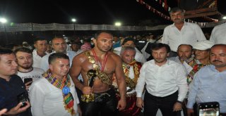 Altın Kirazın Başpehlivanı Ali Gürbüz Oldu
