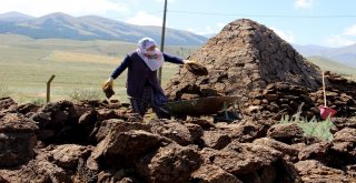(Özel Haber) Kırsalda Tezek Geleneği