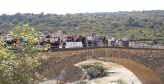 Kanyonda Obeziteye Dikkat Çektiler