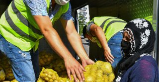 İzmir Büyükşehir 100 ton patates aldı