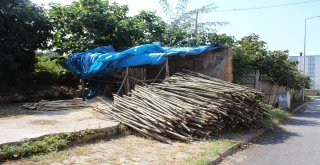 Yılda 80 Bin Adet Üretiyorlar