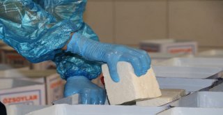 (Özel Haber) Ezine Peynirinin Sırrı Otlayan Koyun, Keçi Ve İneklerde Gizli