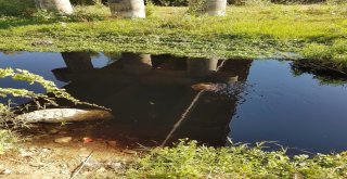 Beylerderesinde Kimyasal Atık İddiası