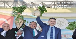 Bakan Pakdemirli: Türkiyenin Şeker İhtiyacının Yüzde 95İ Yerli Üretim Şeker Pancarı İle Karşılanıyor