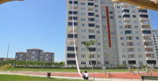 Böylesini Ancak Türkler Yazabilirdi