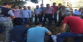 Ali Demirin Acı Günü