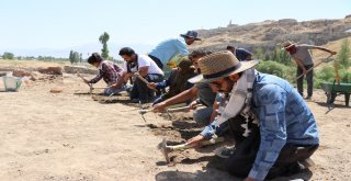 Vanda 5-6 Bin Yıl Boyunca Aynı Ev Tipleri Kullanılmış