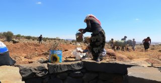 Susuzluktan 40 Bine Yakın Hayvanla Göç Ettiler