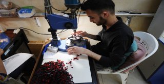 (Özel Haber) Bu Tespihin Fiyatı 4 Bin Tlden Başlıyor