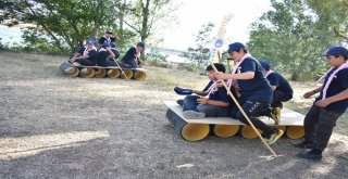 Genç Kaymekin Yavru Kurtları