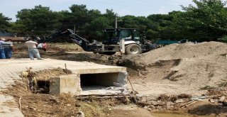 Maskinin Çalışmaları Tüm Hızıyla Devam Ediyor