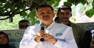 Bakan Pakdemirli: Orduda Ve Antalyada Üreticinin Zararı Devlet Tarafından Karşılanacak