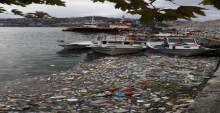 Sağanak Yağışla Gelen Çöpler Limanı Doldurdu