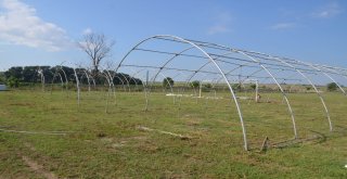 Ergenede Kurban Satış Ve Kesim Alanları Kuruluyor