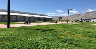 Kaplıcalara İlgi Büyük