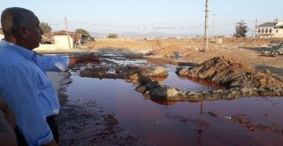 (Özel) İslahiyeyi Biber Suyu Bastı