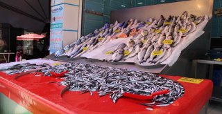 Eskişehirde Balıklar Tezgaha İndi