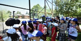 Sokakta Çalışan Çocuklar Evcil Hayvanlar Parkında