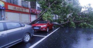 Mangkhut Tayfunu Çine Ulaştı: 2 Ölü