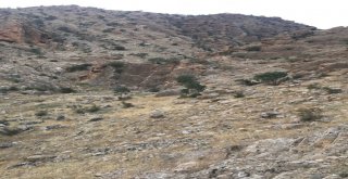 Dağlık Alanda Kaybolan Sporcuyu Jandarma Kurtardı