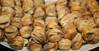 İncirde File Sistemi İle Yüksek Kalite Hedefi