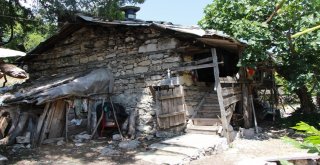 Ağaçtan Zerk Kilidi Zamana Meydan Okuyor