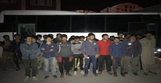 Vanda 182 Kaçak Şahıs Yakalandı