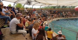 İşitme Engelliler Gezide Buluştu