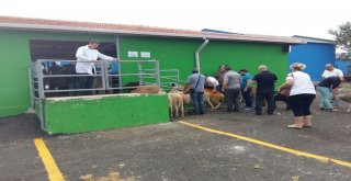 Kurban Bayramı Hazırlıkları Devam Ediyor