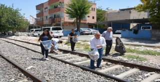 Batmanlı Gazeteciler Çöp Topladı