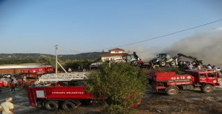 Domaniçteki Yangında 1 Ev, 1 Samanlık Ve 1 Ahır Kül Oldu