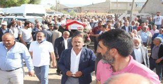 Ağrılı Kıbrıs Gazisi Vefat Etti