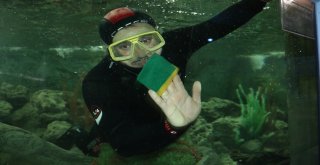 Hayvanat Bahçesindeki Dev Akvaryumlarda Bayram Temizliği