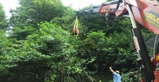 Kurbanlık Dana Vinç Yardımıyla Kurtarıldı