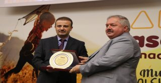 Tasarım Anaokulları Bu Sene Eğitim Verecek