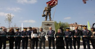 Şehit Hava Pilot Yüzbaşı Nail Erdoğanın Heykeli Açıldı