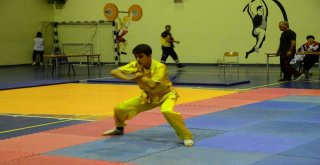 Bitliste Türkiye Wushu Kung Fu Turnuvası Düzenlendi