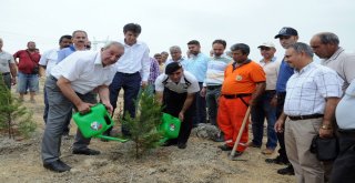 15 Temmuz Şehitleri, Hatıra Ormanında Anıldı